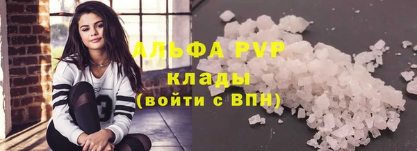 индика Бородино
