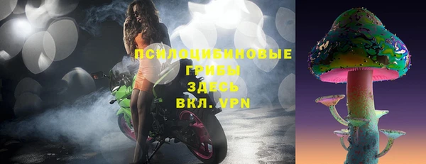 spice Богородск