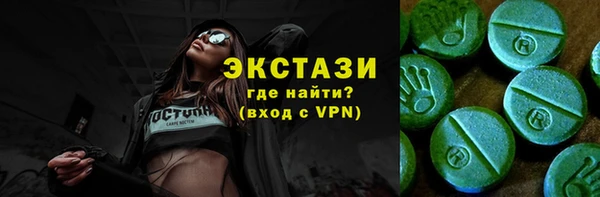 индика Бородино