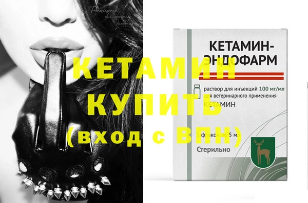 индика Бородино