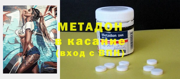 индика Бородино