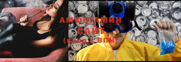 spice Богородск