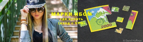 индика Бородино