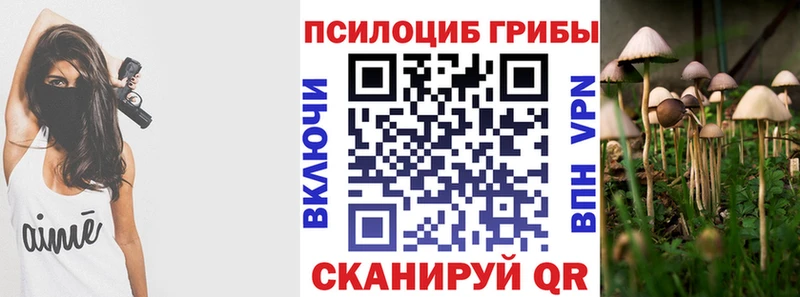 Псилоцибиновые грибы мухоморы  Мончегорск 