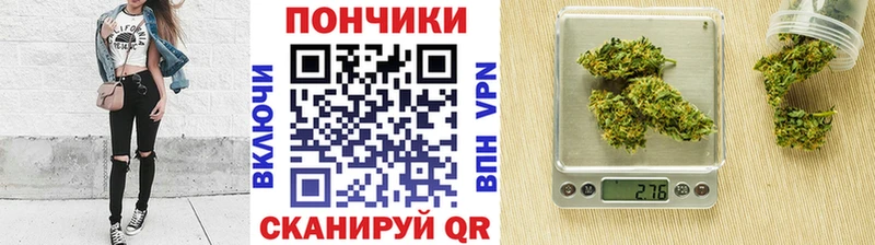Канабис сатива  Мончегорск 